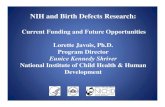 NIH and Birth Defects Research€¦ · Birth Defects Initiative: foster synergy between basic scientists and clinicians PAR-12-034 Developmental Mechanisms of Human Structural Birth