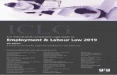ICLG - mhmjapan · Employment & Labour Law 2019 A. Lopes Muniz Advogados Associados ACG International Al Hashmi Law Amit, Pollak, Matalon & Co. AnJie Law Firm BAS - Sociedade de Advogados,