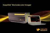 Sapphire Biomolecular Imager - Azure Biosystems · 2019. 8. 6. · The Sapphire Biomolecular Imager is a next generation laser scanning ... Stain as a normalization control (658 channel,