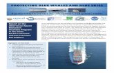Barbara Channel · 2019. 4. 26. · Blue Whales and Blue Skies Act (HR 3682) In September 2017, Congressman Alan Lowenthal (CA-47) introduced in U.S. Congress the Blue Whales and