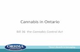 Cannabis in Ontario - ORHMA Relations/Cann… · •Summary : •Able to purchase it online from the Ontario Cannabis Retail ... • Smoking of cannabis (medical and recreational)
