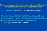 Fei Chai, Peng Xiu, Enrique Curchitser Pacific Ocean ROMS ... · Fei Chai, Peng Xiu, Enrique Curchitser . 1860 - 1900 2081 - 2120 Difference Temperature (0-200m) NO3 (0-200m) Primary