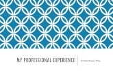 MY PROFESSIONAL EXPERIENCE - Engineeringrhabash/ELG3336CMoussaPresentation.pdfROAD TO BECOMING A PROFESSIONAL ENGINEER (P.ENG.) Application Process Professional Practice Exam (PPE)