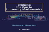 Bridging the Gap to University Mathematics BOOKS/Group 5...Bridging the Gap to University Mathematics. ... Springer Science+Business Media springer.com. Preface Mathematics has always