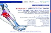 - 15 2014 Elbow: diseases and clinical experiences · 15.00-16.00 Elbow instability 15.00-15.15 Classification from the simple ligamentous lesions up to the terrible triad B. Battiston,