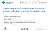 Update on the acute treatment of stroke patient selection ... · Update on the acute treatment of stroke – patient selection and reperfusion therapy Andrew M. Demchuk MD FRCPC Director,