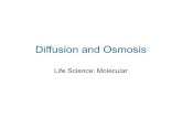Diffusion and Osmosis - CHS Science Department Mrs. Davischssciencedavis.weebly.com/uploads/2/5/1/5/25154042/1_diffusion.… · Osmosis is the diffusion of water through a selectively