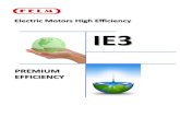 PREMIUM EFFICIENCY - Felm · The “eﬃciency” describes how eﬃciently an electric motor transforms electrical energy into mechanical energy. Previously in Europe, low voltage