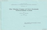 The Marine Fauna of New Zealand: Scleractinian Corals 043_The Marine Fauna … · of corals in New Zealand waters appeared (Quoy and Gaimard, 1833), but the amount of study during