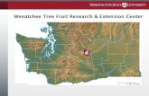 Wenatchee Tree Fruit Research & Extension Centertfrec.cahnrs.wsu.edu/.../sites/11/2019/07/Kiosk_Slideshow_5-7-19_rd.… · •Achour Amiri, Plant Pathology; Postharvest Tree Fruit