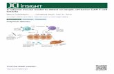 A rational mouse model to detect on-target, off-tumor CAR ... · A rational mouse model to detect on-target, off-tumor CAR T cell toxicity Mauro Castellarin,1,2 Caroline Sands, 1