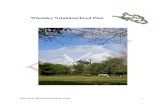 Wheatley Neighbourhood Plan - Official Wheatley Parish ... · 1 Introduction 1.1 This document is the emerging version of the Neighbourhood Development Plan for the parish of Wheatley