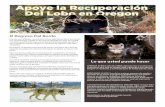 El Regreso Del Borde - Oregon Wild Fact Sheet... · otros esfuerzos en marcha para facilitar la matanza de lobos pueden causar mucho daño a largo plazo a la fragil recuperación
