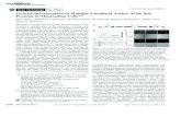 Genetic Incorporation of Multiple Unnatural Amino Acids ...xiao.rice.edu/Publication/10.pdf · Gene Technology Hot Paper DOI: 10.1002/anie.201308137 Genetic Incorporation of Multiple