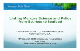 Linking Mercury Science and Policy from Sources to Seafood...2013 UNEP Minimata Treaty ratified 2007 Mercury Matters report, Bioscience papers 2010 C-MERC formed 2006 Marine Hg Workshop