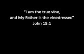 458 - The Vine and the Branches - Leaving Laodicea · John 15:1-8 “I am the true vine, and My Father is the vinedresser. Every branch in Me that does not bear fruit He takes away;