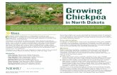 A1236 (Revised April 2020) Growing Chickpea · A1236 (Revised April 2020) North Dakota State University, Fargo, North Dakota Revised April 2020 Revised by: Clair Keene, Agronomist,