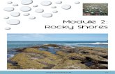 Module 2: Rocky Shores...Within the five major rocky shore types there are several further habitat distinctions on the rocky shore. These are based on tidal levels and can be broken