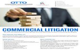Commercial Litigation - Forensic Accounting · Retail shop lease disputes Business interruption Partnership and shareholder disputes Building and construction disputes Professional