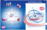 MAXIMIZING SWINE HEALTH AND PRODUCTIONfs-1.5mpublishing.com/images/ceva/Plaquette-Gamme... · MaxiMizing production with ceva repro range health iMproveMent Effective health control