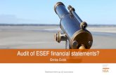 Audit of ESEF financial statements?...in the XHTML financial statements. Final decisions to be made by the Ministry of Finance Page 11 12 March 2020 Audit of ESEF financial statements?