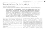 Ecogenomics and genome landscapes of marine ...duhaimem/pdfs/Duhaime_etal_2011_PhageH105_1.pdfORIGINAL ARTICLE Ecogenomics and genome landscapes of marine Pseudoalteromonas phage H105/1