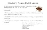 Southern Region BMSB Update - StopBMSB.org€¦ · ID flyer for extension agents, pest control operators, growers, researchers . Can choose type of report . Nik Wiman working with