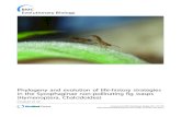 Phylogeny and evolution of life-history strategies in the ... Phylogeny and evolution of life-history