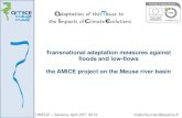 Transnational adaptation measures against floods and low ... · Transnational adaptation measures against floods and low-flows . the AMICE project on the Meuse river basin. UNECE
