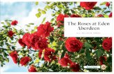 The Roses at Eden Aberdeen - Bancon Homes€¦ · The Roses is the latest phase in the Eden at Maidencraig masterplan community that will ultimately deliver almost 700 high quality