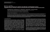 RecentDevelopmentoftheSynthesisandEngineering ...downloads.hindawi.com/journals/jnm/2010/163561.pdf1School of Chemistry and Chemical Engineering, Shandong University, Jinan 250100,