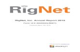 RigNet, Inc. Annual Report 2019 · Indicate by check mark whether the registrant has submitted electronically every Interactive Data File required to be submitted pursuant to Rule