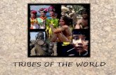 TRIBES OF THE WORLD - WordPress.com · Mosuo culture •Language •“Come of age” ceremony •Buddhism & Daba •Death •Dogs . KOROWAI PEOPLE . Korowai background •Existence