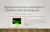 Signatures of exciton condensation in a transition metal ......Signatures of exciton condensation in a transition metal dichalcogenide Team 9 Arjun Raghavan, Soho Shim, Julia Spina,
