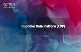 Customer Data Platform (CDP) · Marketing in the Moment = Right Time, Right Place, Right Channel The Challenges Siloed Channels, Fragmented Data Sources, Lack of Real-Time Data The