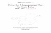 Draft Fisheries Management Plan for Cass Lake 2019-2024 · 2019. 7. 29. · Cass Lake is a popular destination for both percid and esocid anglers (i.e., Walleye/Yellow Perch and Northern