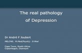 The real pathology of Depression - EFPT Porto 2015€¦ · Anxiety and depression – the controversy • The links between depression and anxiety are complex and difficult to untangle