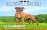 Today's Breeder - Issue 89 | Purina Pro Club · 2018. 12. 13. · Today’s Breeder loves hearing from Purina Pro Club members! Tell us about your dogs and how Purina nutrition and