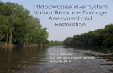 Tittabawassee River System Natural Resource Damage ... · May 16, 2016 . Outline ... For Tribal Trustees, natural resources include natural resources related to tribal subsistence,