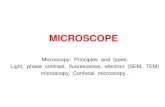 MICROSCOPE - hicasbiotechnology.files.wordpress.com · Light microscope The optical microscope, often referred to as light microscope, is a type of microscope which uses visible light