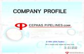 COMPANY PROFILE€¦ · 1.1 Brief History . 1. General Information YEAR Description Nov. 2010 ... 4 RETAINER RING A240 T304 5 RETAINER RING BOLTS B8M 6 STEM A240 T316 7 BUSH A240