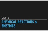 DAY 15 CHEMICAL REACTIONS & ENZYMES€¦ · DAY 15. PAGE 28 DO NOW ‣ What are the 4 macromolecules? ‣ How are monomers and polymers related? CHEMICAL REACTIONS & ENZYMES PAGE