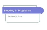 Bleeding in Pregnancyclaredibona.emergucate.com/.../02/Bleeding-in-Pregnancy.pdfBleeding in Pregnancy By Clare Di Bona Early Pregnancy Loss Defined as pregnancy loss before 20 weeks