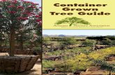 Container Grown Tree Guide - azlca.com · the process of growing the tree in the nursery. In the pursuit of value, the motto “bigger is better” must be carefully applied when