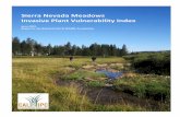 Sierra Nevada Meadows Invasive Plant Vulnerability Index...Jun 28, 2019  · Sierra Nevada meadows provide important wildlife habitat and hydrologic function and invasive plants can
