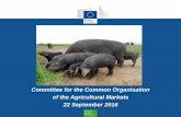Committee for the Common Organisation of the Agricultural ... · Ukraine - $ 378 Brazil Paranagua - $ 415 Argentina Up River - $ 391. ... IMPORTS EXPORTS. EU imports of selected PIG
