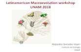 Latinamerican Macroevolution workshop UNAM 2018phytools.org/mexico2018/lec/PGLS.pdf · Latinamerican Macroevolution workshop UNAM 2018 Alejandro Gonzalez-Voyer Instituto de Ecología