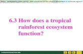 6.3 How does a tropical rainforest ecosystem · Energy flow in a tropical rainforest ecosystem Energy flow is the transfer of energy through various living organisms along the food