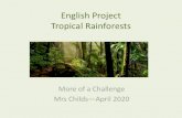 English Project Tropical Rainforests · The tropical rainforest has many kinds of creatures. Here are four examples to get you thinking. Poison Dart Frog Squirrel Monkey Toucan Task: