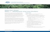 NVIS Fact sheet MVG 1 – Rainforests and vine thickets · – littoral rainforest is scattered along the coast in areas influenced by maritime winds and include elements of tropical/subtropical
